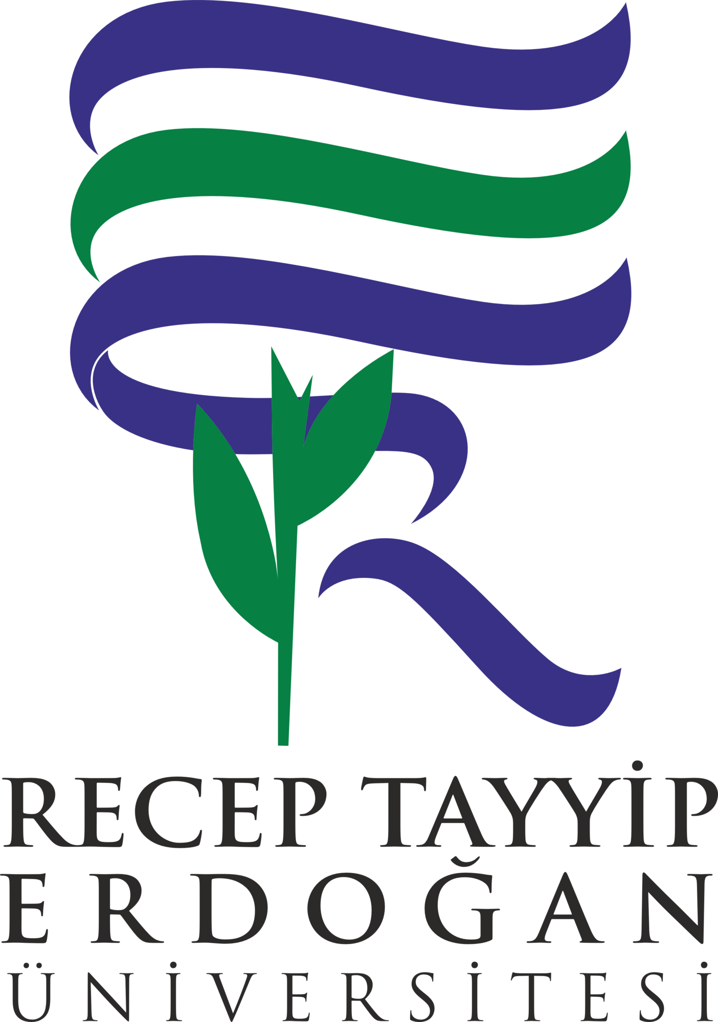 Recep Tayyip Erdoğan University