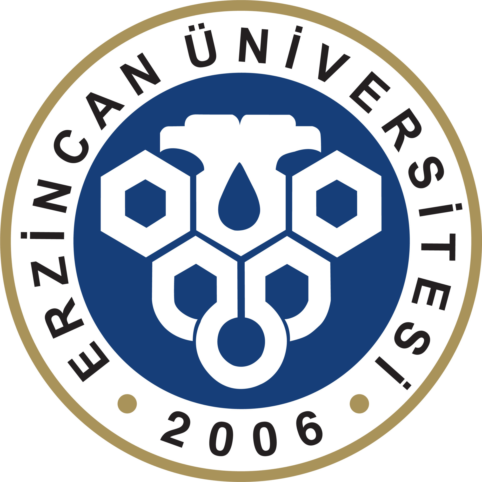Erzincan Binali Yıldırım University